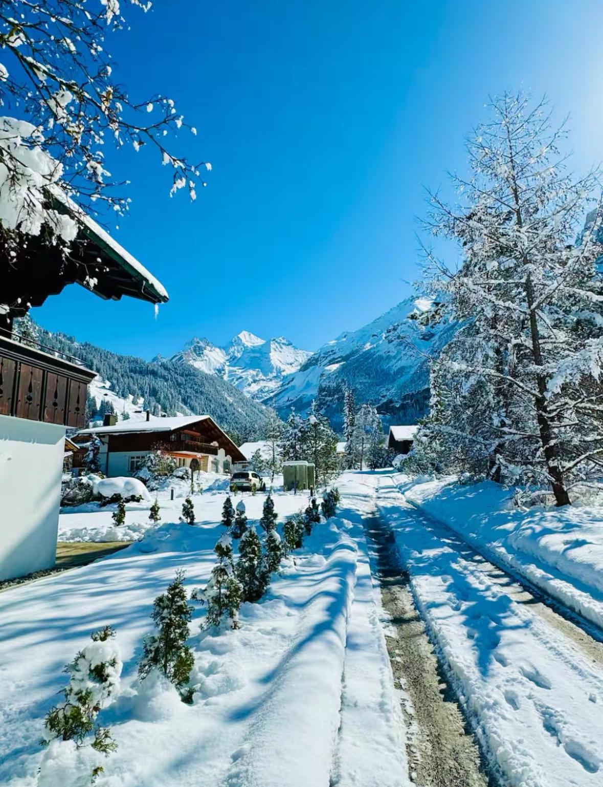 Apartmán Cute & Cozy Oasis, Private Afternoon Sun Terrace Kandersteg Exteriér fotografie